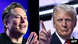 Ông Elon Musk và ông Donald Trump.