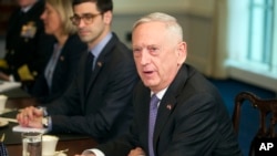 Bộ trưởng Quốc Phòng Jim Mattis trả lời phóng viện về hành động quân sự ở Syria trong một cuộc gặp với BTQP Hà Lan Ank Bijleveld tại Ngũ Giác Đài ở Washington, ngày 11/4/2018. (AP Photo/Cliff Owen)