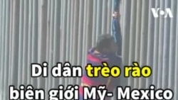 Di dân trèo rào biên giới Mỹ- Mexico chỉ để... bị bắt