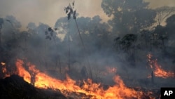 Cháy rừng Amazon ở Brazil.