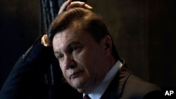 Tổng thống Ukraina Viktor Yanukovych