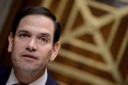 Cumhuriyetçi Partili Florida Senatörü Marco Rubio