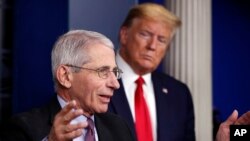 Tổng thống Donald Trump (phải) và Tiến sĩ Anthony Fauci.